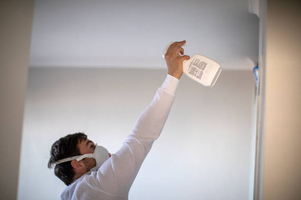 Quincy, MI Mold Removal Company