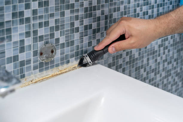 Best Affordable Mold Removal  in Quincy, MI