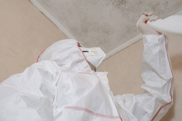 Best Fast Mold Removal  in Quincy, MI