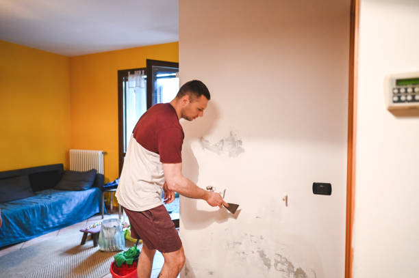 Best Mold Testing  in Quincy, MI